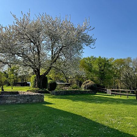 מלון Belz Le Domaine Du Ganquis מראה חיצוני תמונה