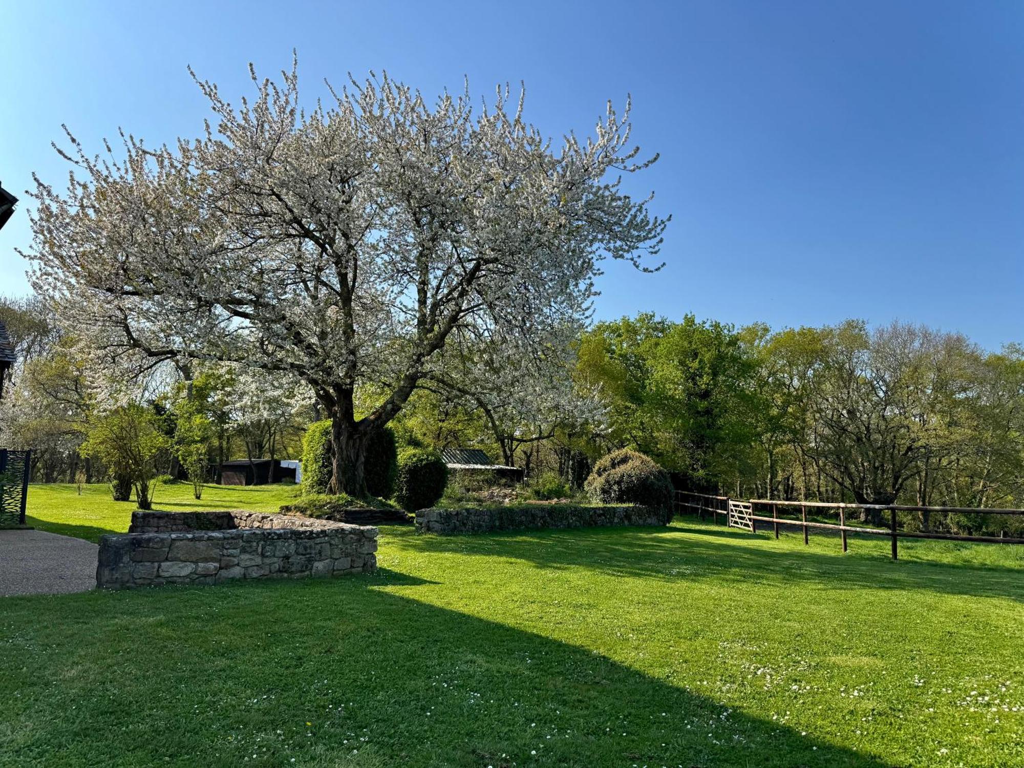 מלון Belz Le Domaine Du Ganquis מראה חיצוני תמונה